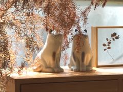 -猫里有甜