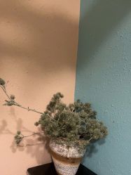 -香秀空间科技抗衰·美容中心