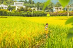 -小时光儿童摄影工作室(宜兴店)