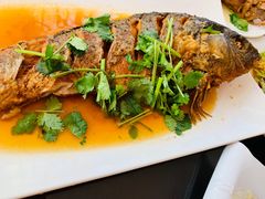 -东方巨龟苑景区