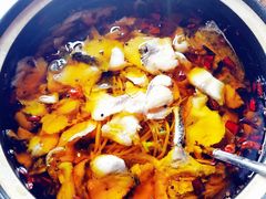 -宝轩渔府·老字号海鲜·正宗津菜(水上店)