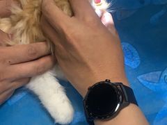 -芭比堂动物医院·CT·微创中心(新顺分院)
