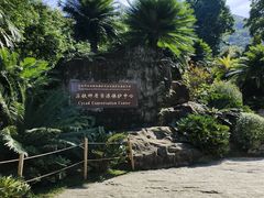 -深圳仙湖植物园