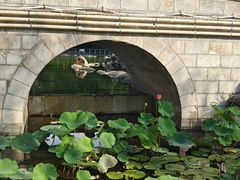 -莲湖公园