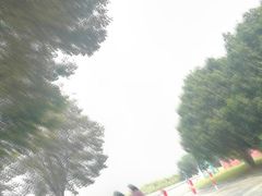 -长广溪湿地公园