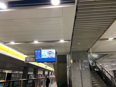 -望京西(地铁站)