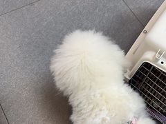 -芭比堂动物医院·心脏专科·夜诊·吉雅分院