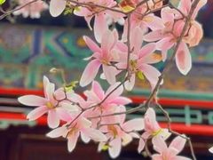 -潭柘寺景区
