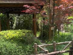-麦积山温泉