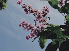 -飞来湖湿地公园