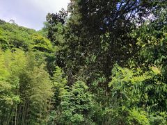 -千泷沟大瀑布旅游区