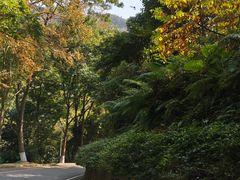 -火炉山森林公园