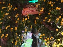 -正佳雨林生态植物园