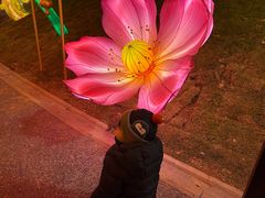 -老雒阳面馆·水席(王城路店)