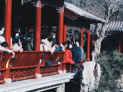 -紫荆山公园