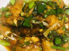 -全乐鱼馆·淳牌有机鱼直营店