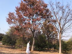 -钟山体育运动公园