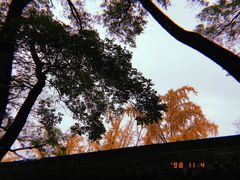 -北京国子监胡同