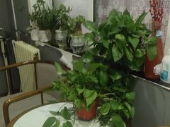 -深蓝盲人推拿·颈肩腰腿疼痛·艾灸调理(清河店)