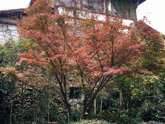 -解香楼(八盘岭路店)