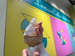 -柠檬车露(卖草地店)