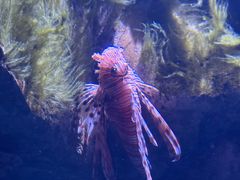 -香港海洋公园