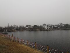 -大塘金香草谷