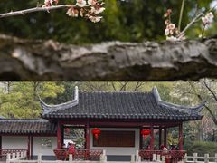 -莘庄公园