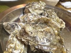 -老家黄墩小错鸡·活海鲜