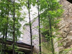 -良渚君澜度假酒店·中餐厅