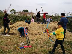 -樂桃源奉贤黄桃种植采摘基地