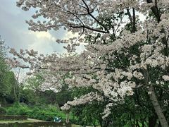 -武汉园博园(武汉自然博物馆)