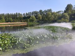 -沈阳植物园