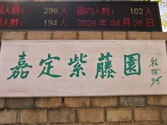 -嘉定紫藤园