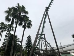 -飞天翼龙