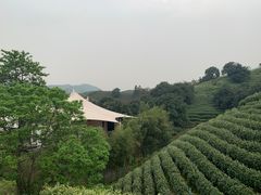 -帐篷客·溪龙茶谷度假酒店