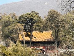 -潭柘寺景区