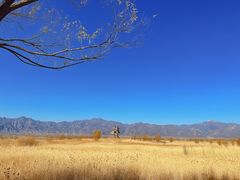 -野鸭湖国家湿地公园