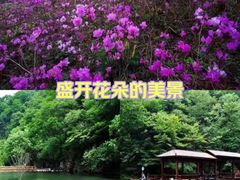 -本溪老边沟风景区
