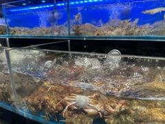 -苏格里岛自助海鲜烤肉火锅(集美万达店)