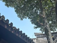 -绍兴鲁迅故里·沈园景区