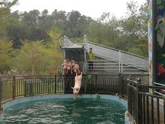-田野绿世界