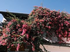 -大理洱海