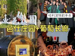 -沉浸北京·团建旅行·密室剧本杀·年会会议轰趴拓展