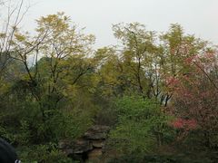 -山东师范大学(千佛山校区)