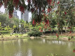 -映月湖公园