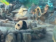 -武汉动物园