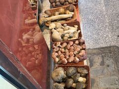 -草墩罗非鱼庄•野生菌•腊排骨(七星街上段店)