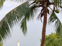 -三亚南山文化旅游区