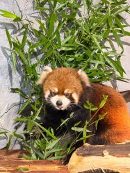 -Zoolung Zoolung动物主题公园(海信广场店)